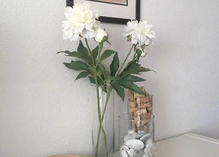 Valparaiso - Burriana アパート ネルハ