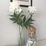 Valparaiso - Burriana Nerja