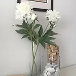 Valparaiso - Burriana Lägenhet Nerja